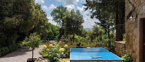 Une table de ping-pong installée à l’extérieur, dans un jardin agrémenté de chemins de pierre, entourée d’arbres et de fleurs.
