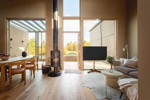 Televisión, chimenea