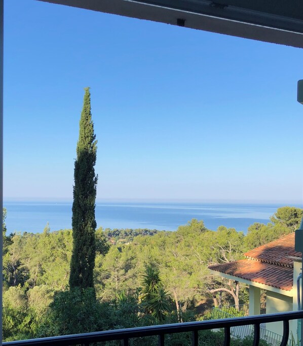 Un balcon offrant une vue dégagée sur la mer et la végétation environnante.