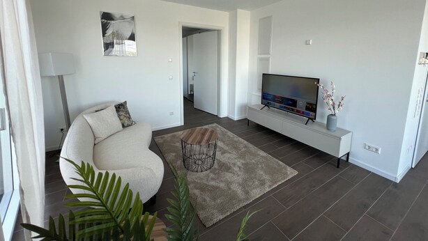 A modern living room with a sofa, TV, and decorative plants.