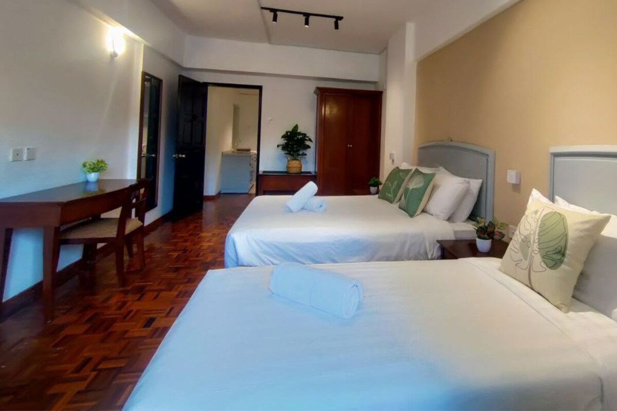 Habitación de hotel con dos camas, un escritorio y una planta en maceta.
