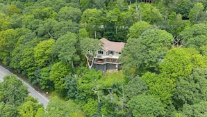 Una casa rodeada de un bosque frondoso, con una carretera cerca.