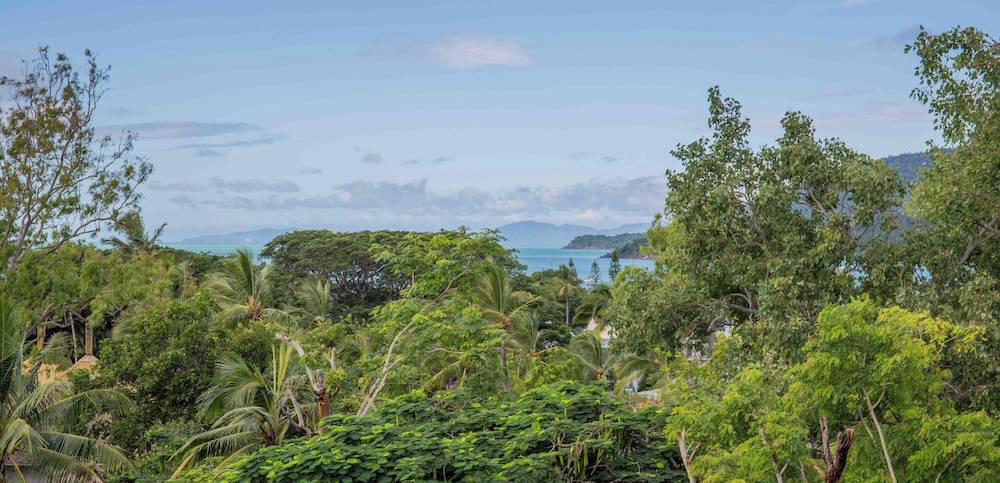 Bounce Airlie Beach photo 8