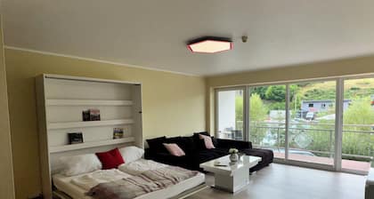 Nordschleifenausblick Adenau Breidscheid Race-House Studio direkt am Nürburgring