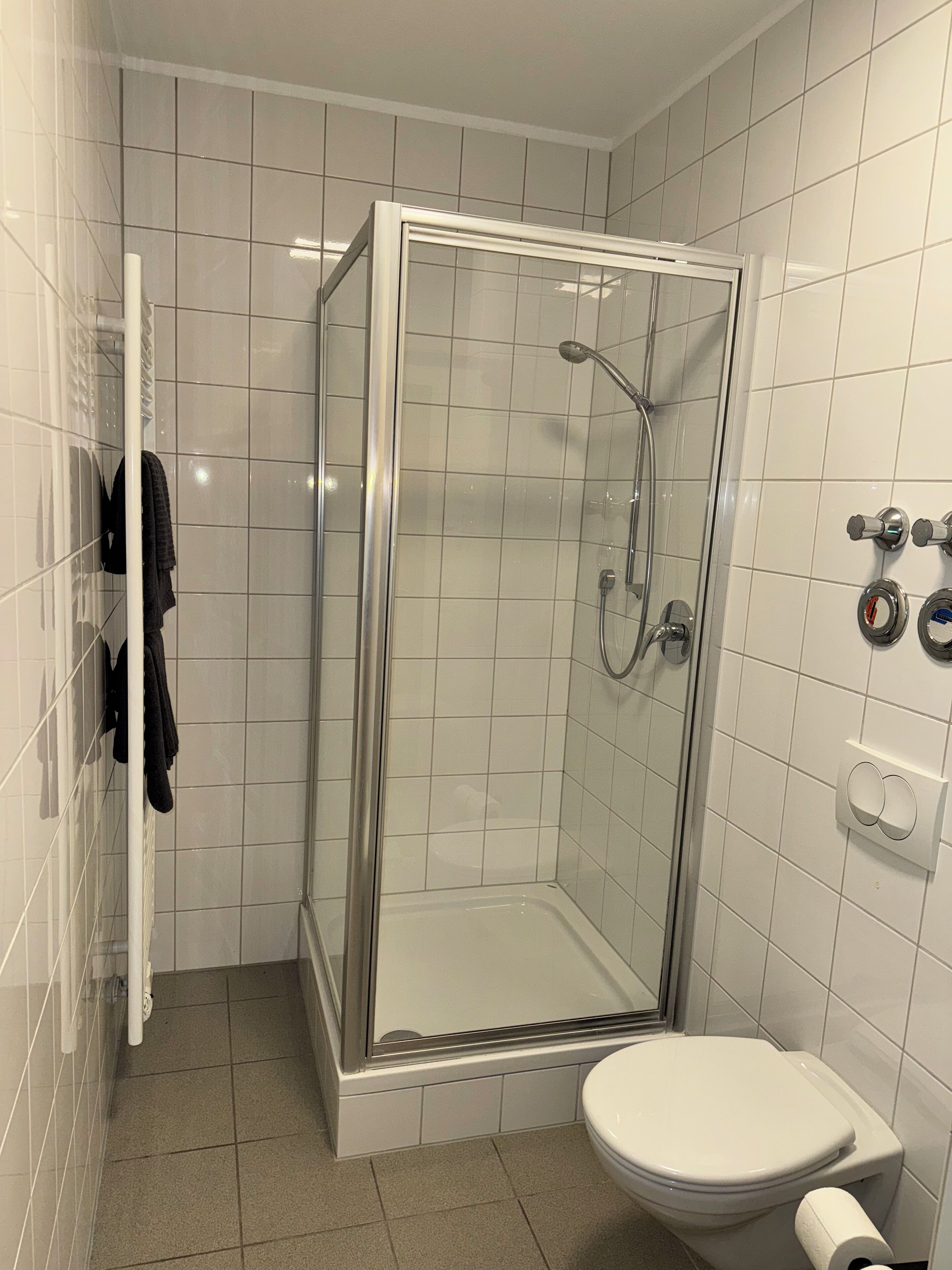 Asciugamani, sapone, carta igienica