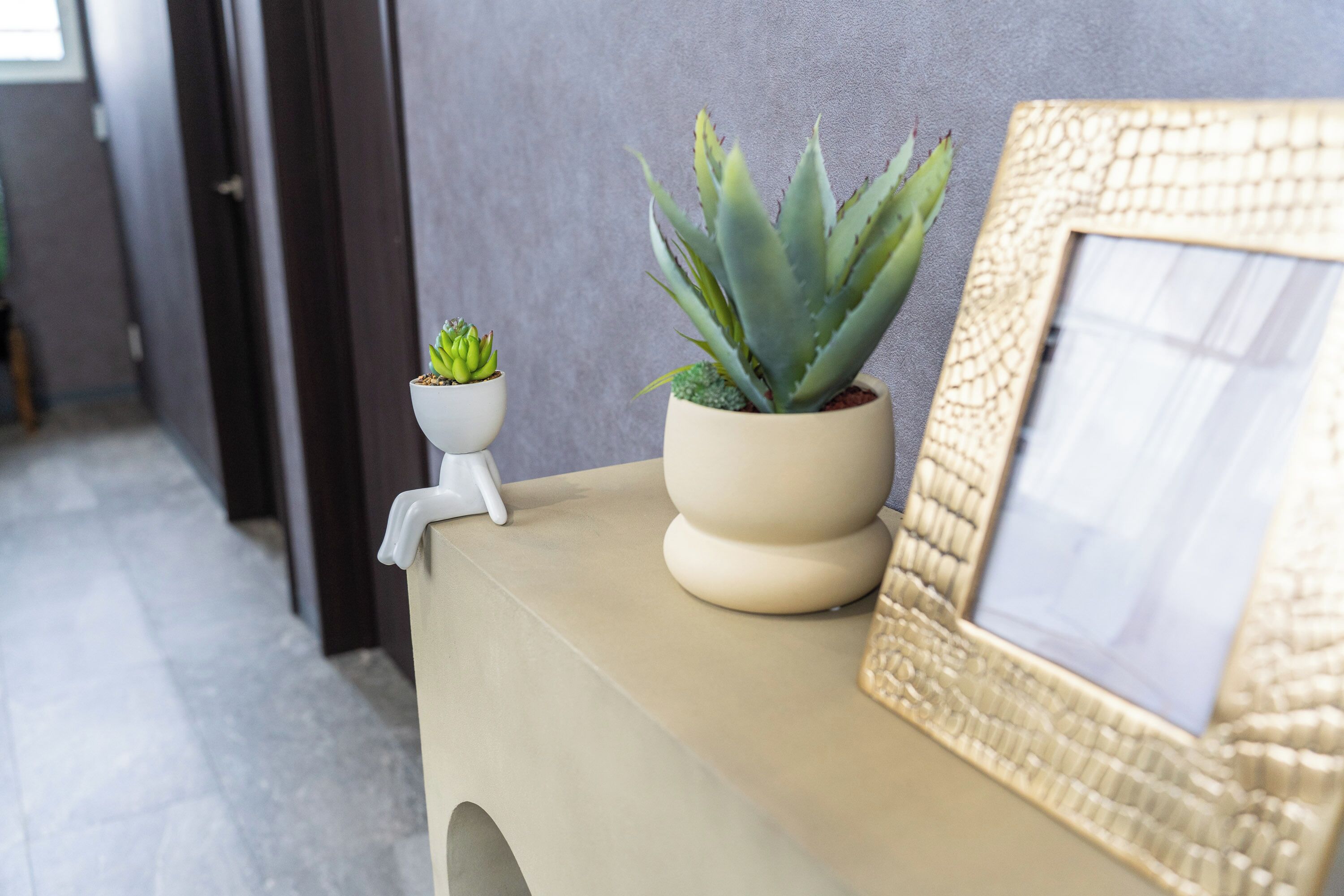 A beige console table with a potted aloe vera plant and a framed picture.