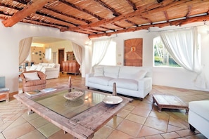 TV, fireplace, books