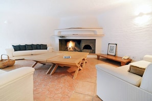 TV, fireplace, books