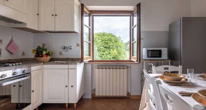 Oliveto Del Cantarello