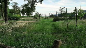 Àrea exterior de l'allotjament