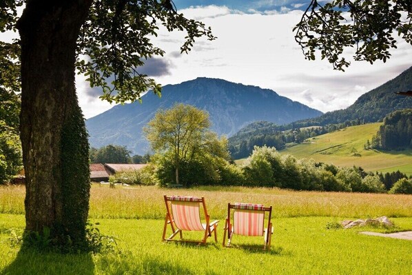 Áreas de la propiedad