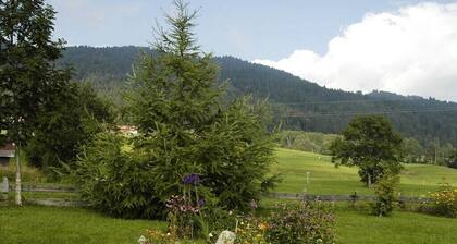 Chalet Ă Ofterschwang avec piscine