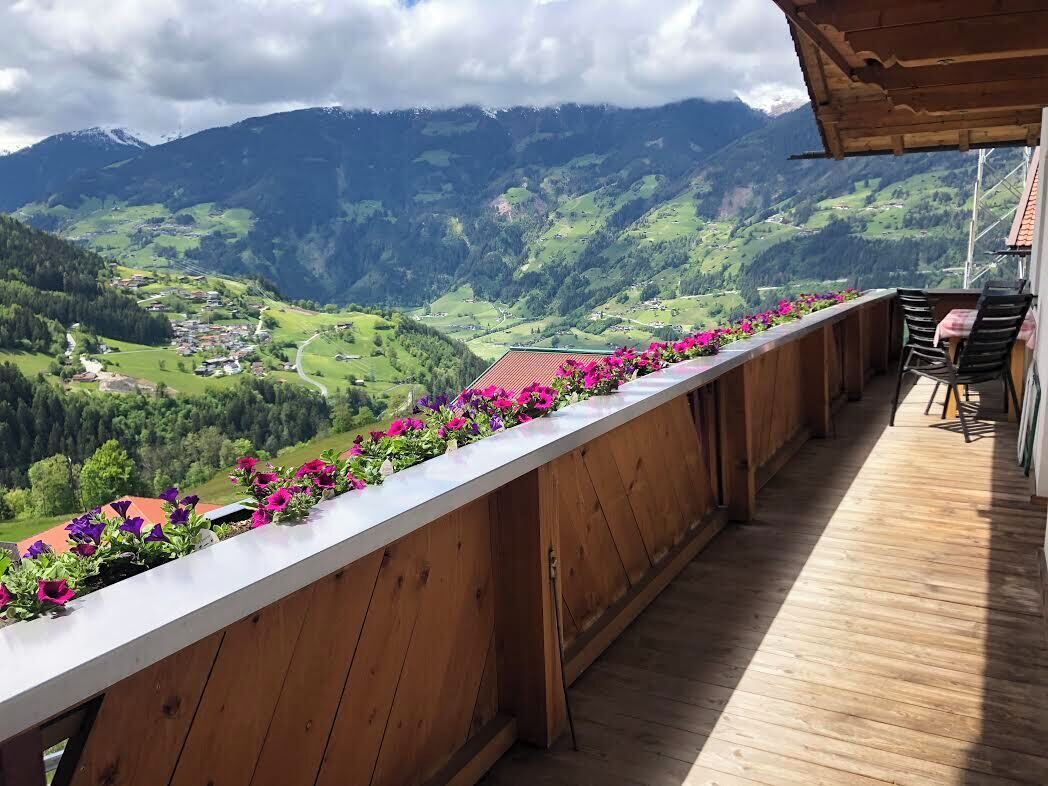 Àrea exterior de l'allotjament