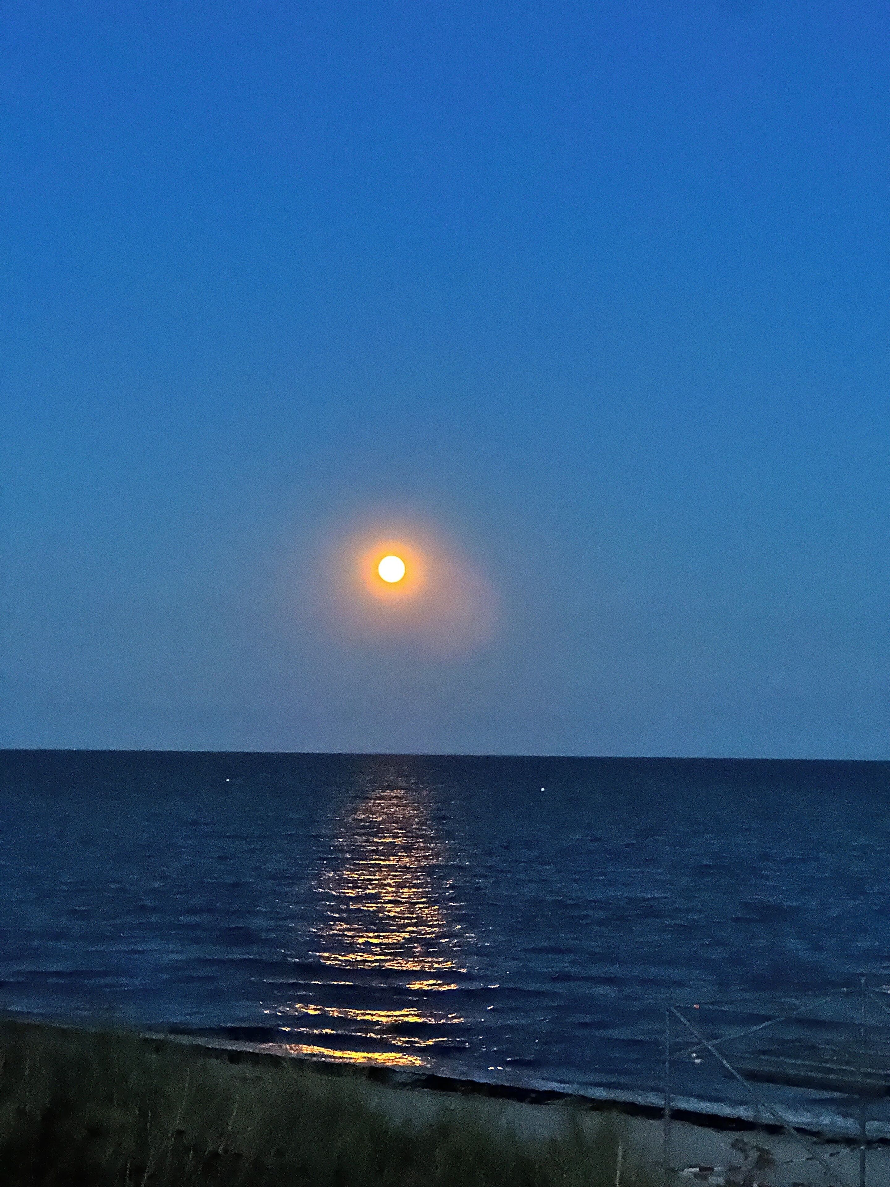 A calm sea with a visible horizon and a bright moon reflecting on the water.