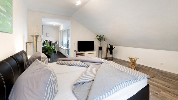 A modern bedroom with a bed, a television, and a plant.