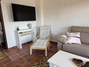Fernseher