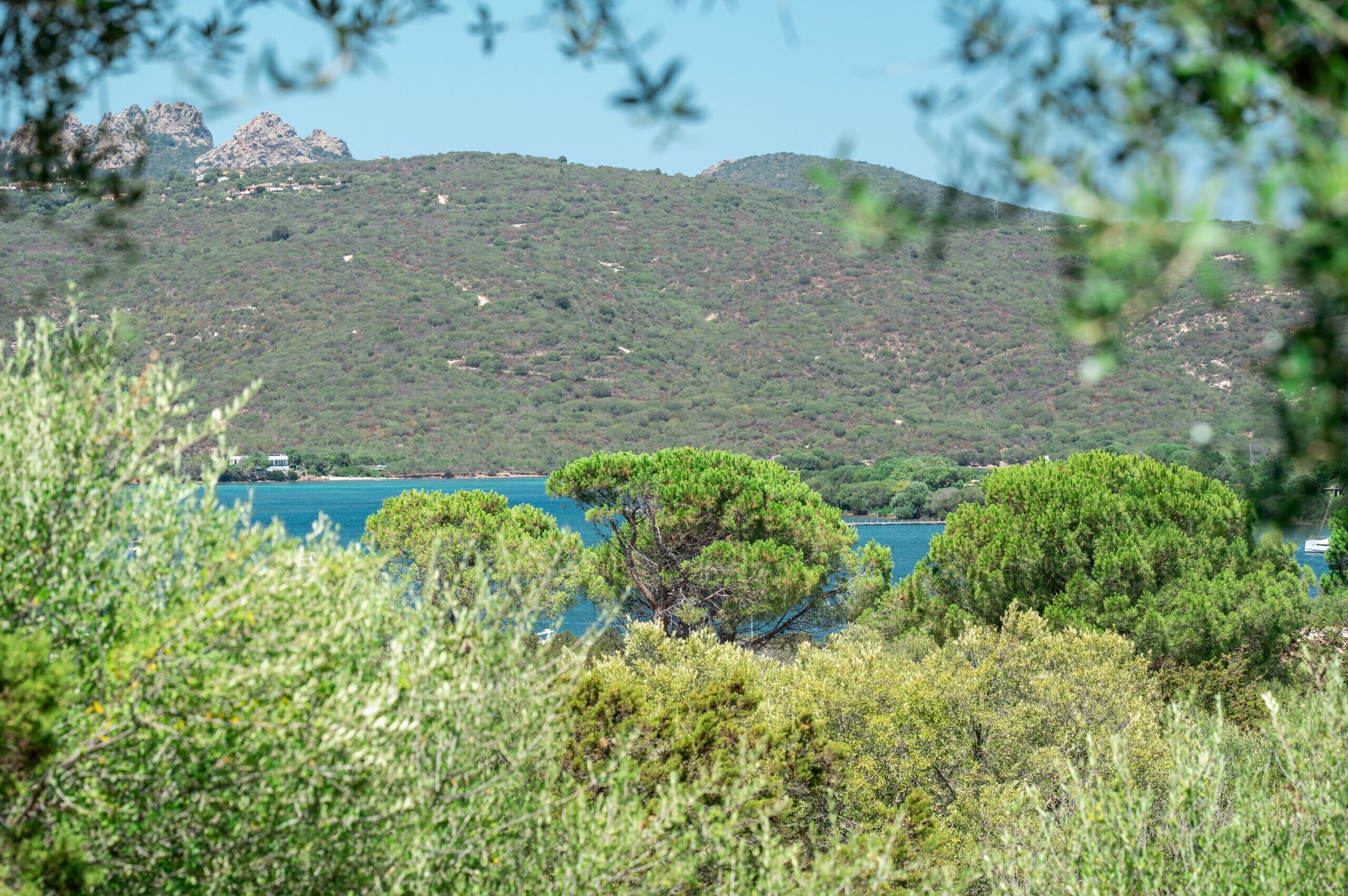 Un paysage côtier caractérisé par une végétation luxuriante, une mer d’un bleu limpide et des collines rocheuses en arrière-plan.