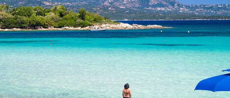 بالقرب من الشاطئ