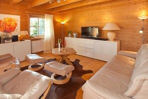 Smart TV, fireplace, DVD player, books