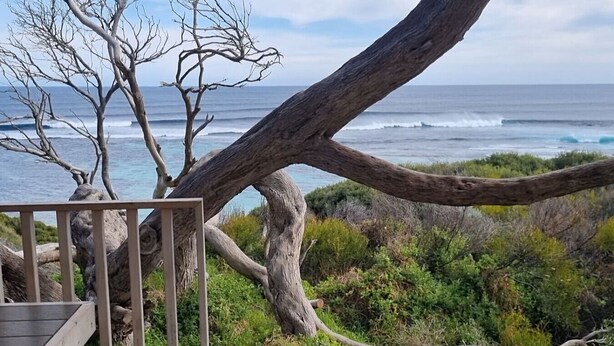 A wooden deck overlooking a rugged coastline with a large fallen tree and ocean waves in the background. - Ace on Par - Central Dunsborough (Dunsborough)