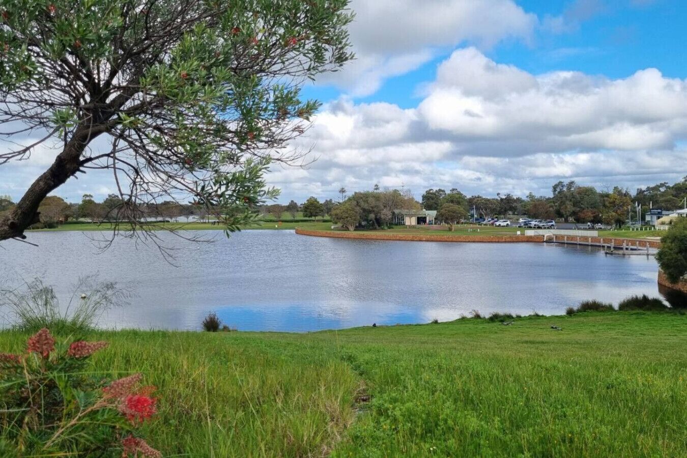 Une vue paisible sur un lac, avec un pré verdoyant au premier plan, un arbre aux fleurs rouges et un bâtiment situé de l’autre côté de l’eau, à l’horizon.