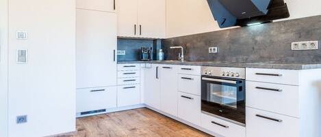 Fridge, oven, stovetop, dishwasher