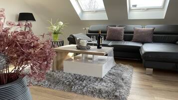 TV connectée, cheminée, lecteur de DVD, livres