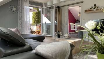 TV connectée, cheminée, lecteur de DVD, livres