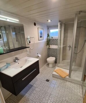 Shower, hair dryer - Holiday home with 8 bedrooms (Erndtebrück-Birkelbach)