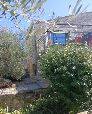 A stone building with a staircase leading up to a metal gate, surrounded by greenery and a small stream. - Closed as of today (Colonzelle)