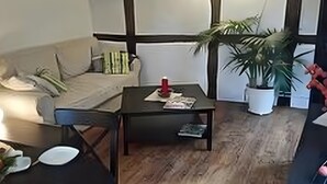A cozy living room with a sofa, a table with a red candle, and a potted plant. - Apartment 'Homberger Altstadt' with private terrace and Wi-Fi (Homberg (Efze))
