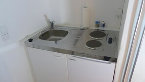 A compact kitchenette with a stainless steel sink, two electric burners, and a small countertop. - Apartment 'Pilgerzimmer' with Wi-Fi (Homberg (Efze))