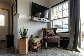 TV, DVD player, video library