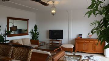 TV connectée, livres