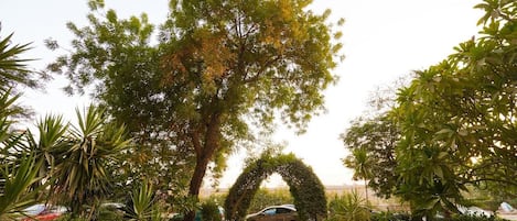 Terrein van de accommodatie