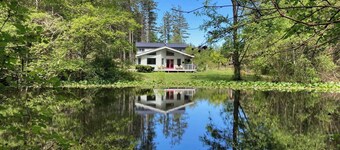 Dragonfly Pond house is a rustic, spacious, light-filled vacation rental home on Orcas Island with high ceilings overlooking a tranquil pond. Clean & comfy. Located in 7 acres of forest, it's peaceful and secluded. Close to town and the ferry.