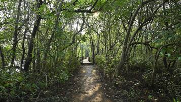 A forest path leading to a wooden structure.