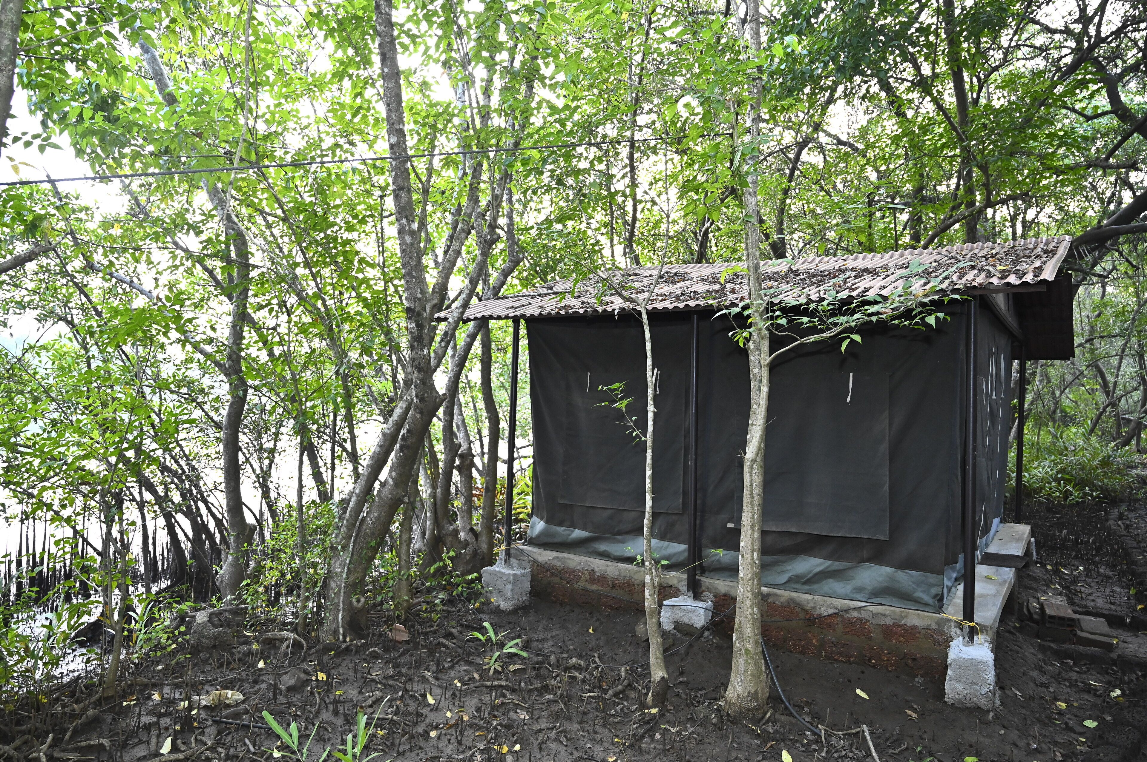 Bahagian luar