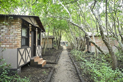 Camp Riveredge Paradise