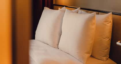 The Companion Vienna