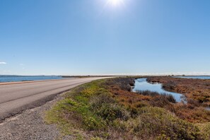 Miscellaneous - Bed and Breakfast 'Salamandre Chambre D'hote' with Shared Pool, Wi-Fi and Air Conditioning (Port-Saint-Louis-du-Rhône)