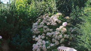 A wooden chair and ottoman in a garden with a flowering bush.