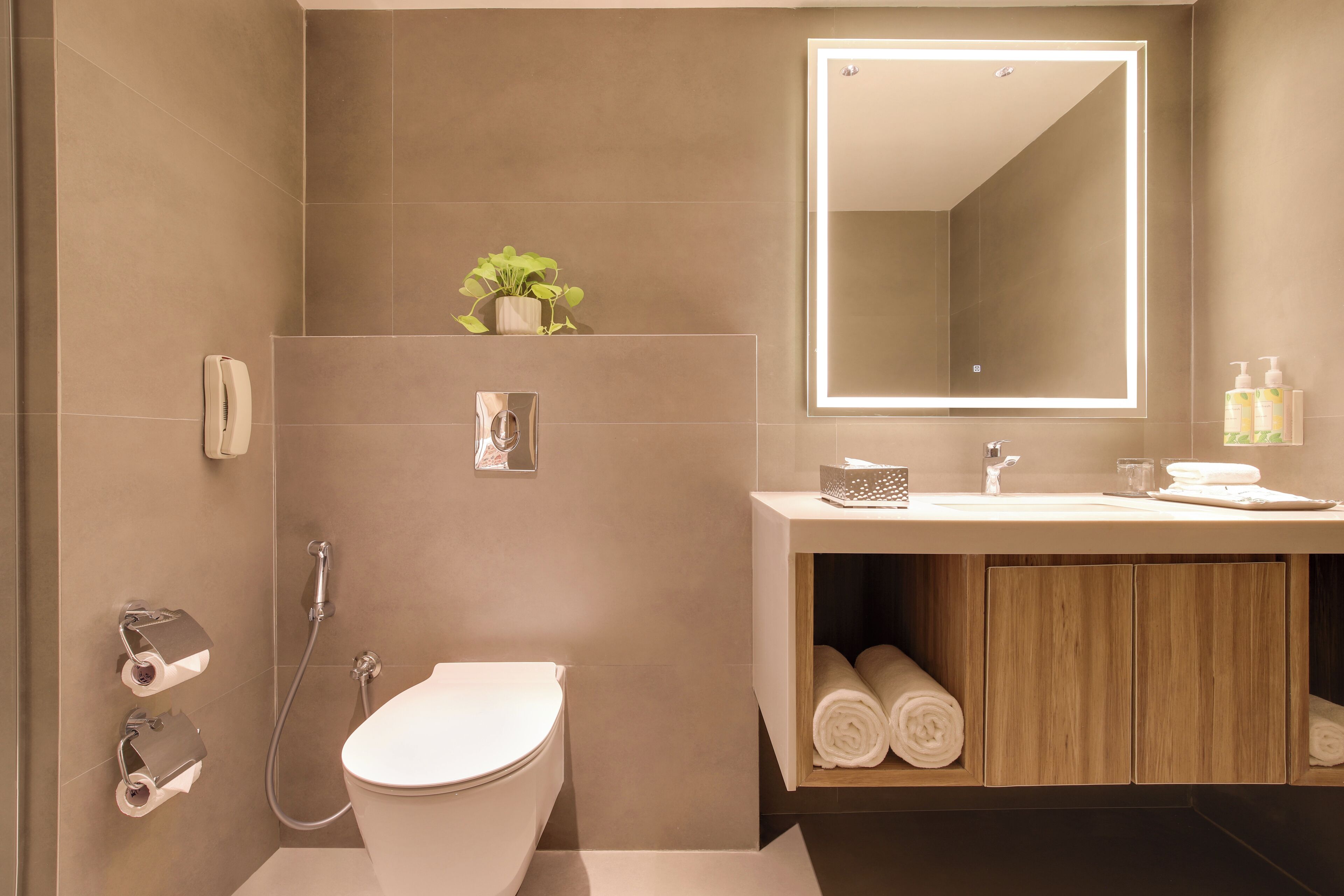 A modern bathroom with a toilet, a shower, a sink with a mirror, and a plant on the wall.