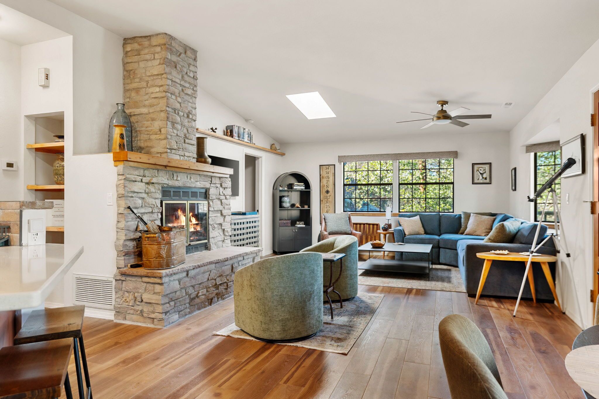 TV, fireplace, books