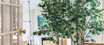 Park Springs Row- Walk to Downtown-Luxury Living