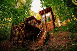 Une cabane en bois avec un escalier menant à une terrasse, entourée d’arbres.