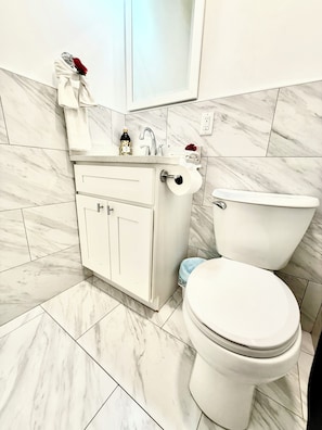 Hair dryer, towels, shampoo, toilet paper