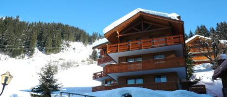 A multi-story wooden chalet with balconies, surrounded by snow-covered trees and a clear blue sky.
