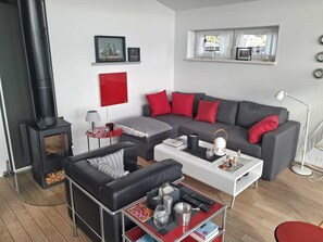 Smart TV, fireplace, books