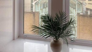 A window with a white roller blind, a potted plant on the windowsill, and a view of buildings through the window.